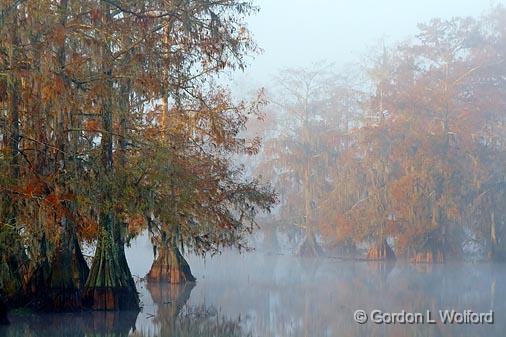 Foggy Lake Martin_26746.jpg - Photographed at Lake Martin in the Cypress Island Preserve near Breaux Bridge, Louisiana, USA.